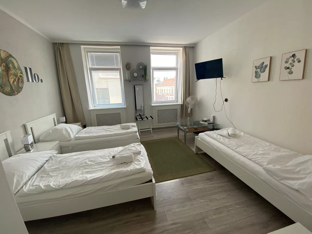 Einblick in ein Zimmer der Pension Lizzi Wien, 3 Betten Einblick in ein Zimmer der Pension Lizzi Wien, 3 Betten